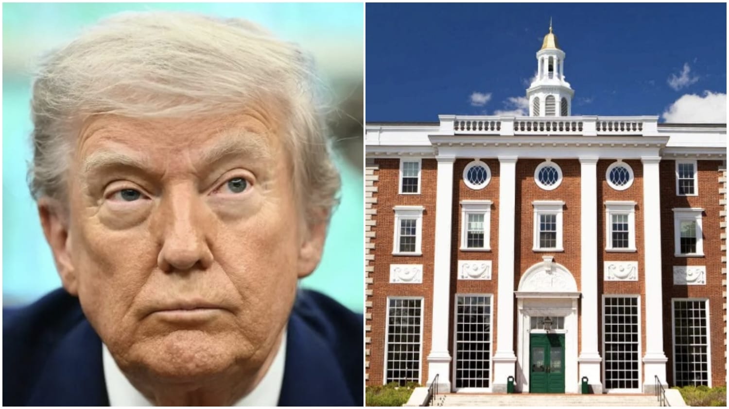 how-donald-trump-crackdown-on-harvard-university-affects-foreign-students
