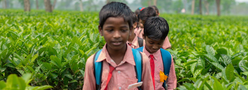 assam-tea-garden-regions-to-rise-with-80-new-schools